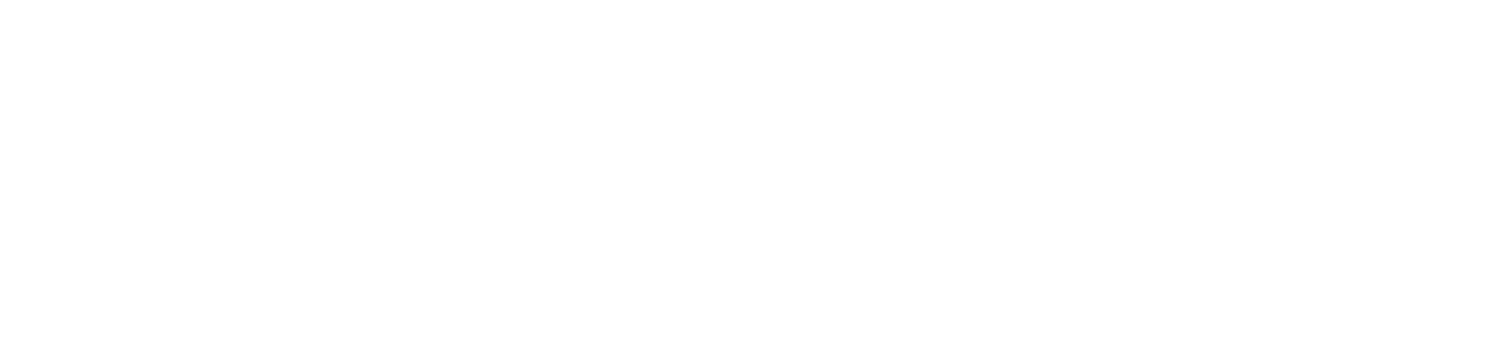 Logo Fromm + Partner AG